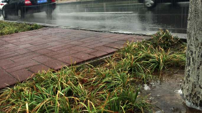 4k原创雨中海绵城市彩色透水砖路面