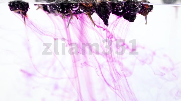 黑枸杞泡水紫色拉丝4k素材可商用