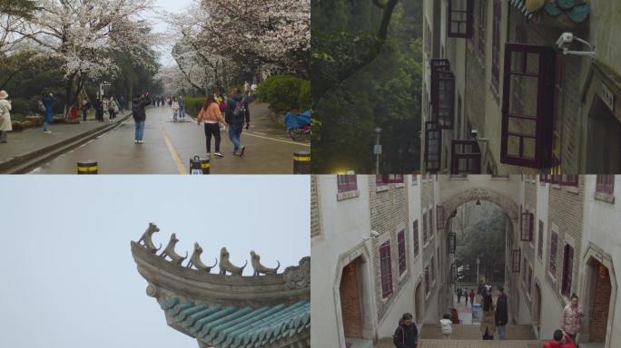 武汉大学樱花盛开人们拍摄合影留念4K