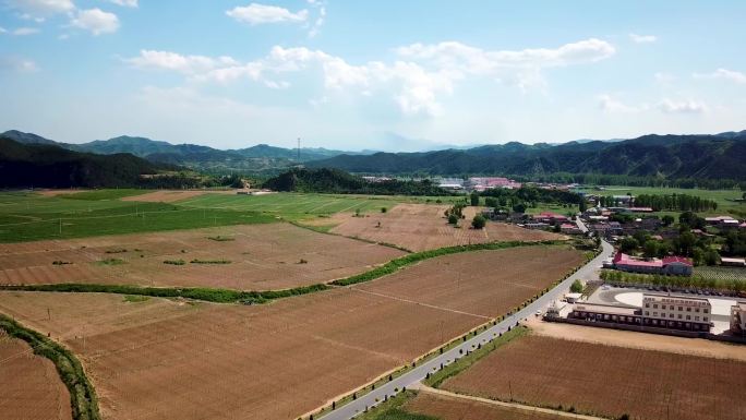 青龙县五味子种植基地春景