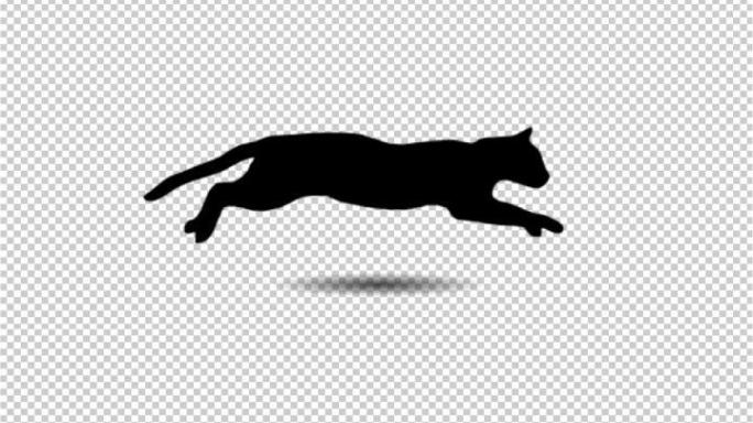 小猫奔跑动画（可循环带通道）