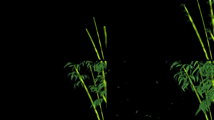 竹叶飘落-带透明通道