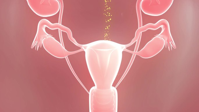 女性补血卵巢活血化瘀