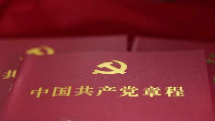 中国共产党党员党徽党章视频素材