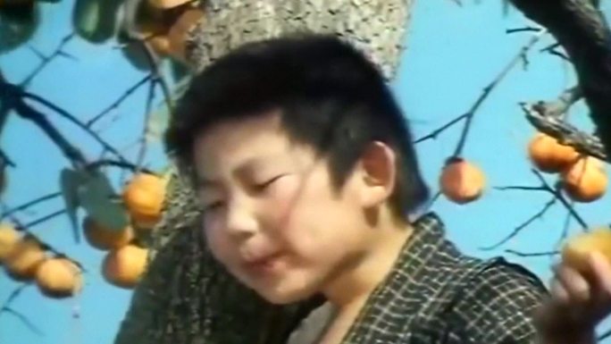 农民儿童采摘晾晒柿子