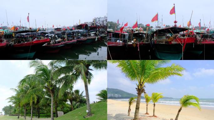海南渔船渔港旗帜槟榔树椰子树