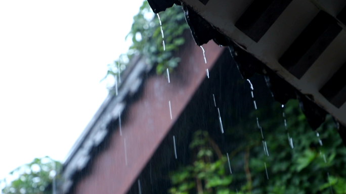 竹林下雨门前有竹林