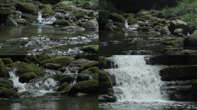 自然生态溪流4K实拍素材