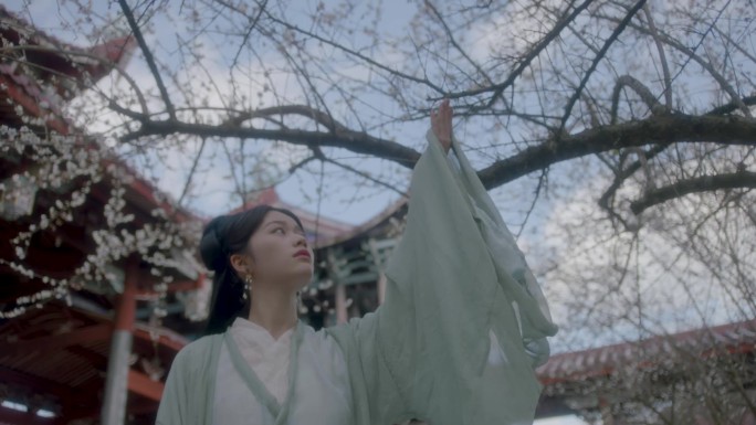 古风美女寺院寻梅花写意空镜头纯情美女