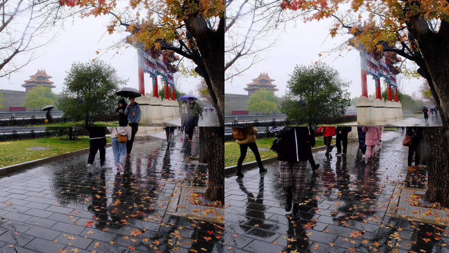 北京故宫角楼牌楼深秋雨中红叶落叶