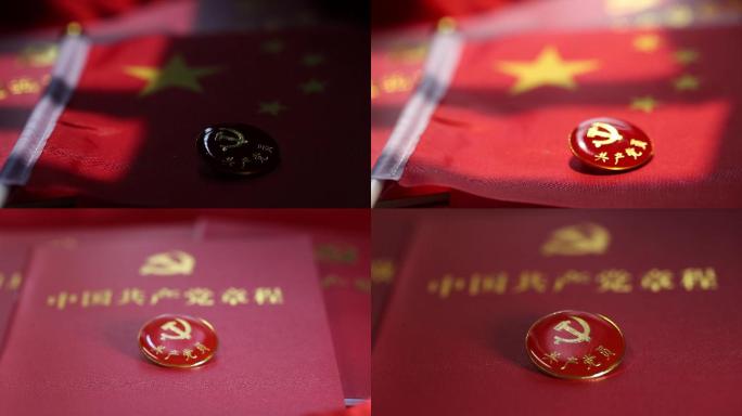 中国共产党党员党徽党章视频素材