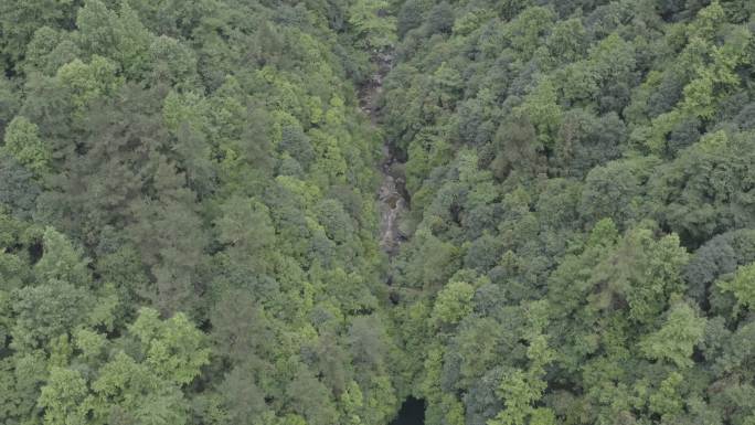 大山生态山泉小溪流航拍