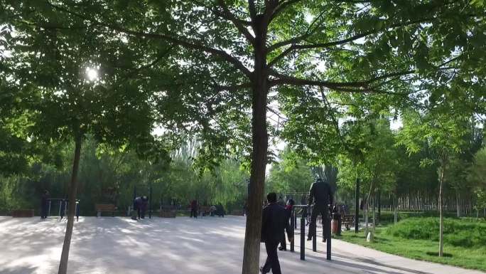 城市早晨公园晨练街景洒水车绿色树林舞剑
