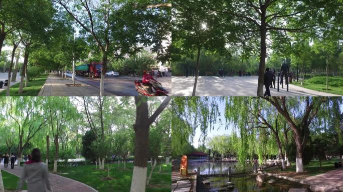 城市早晨公园晨练街景洒水车绿色树林舞剑