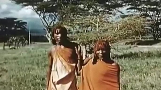 非洲大草原纳米比亚辛巴人