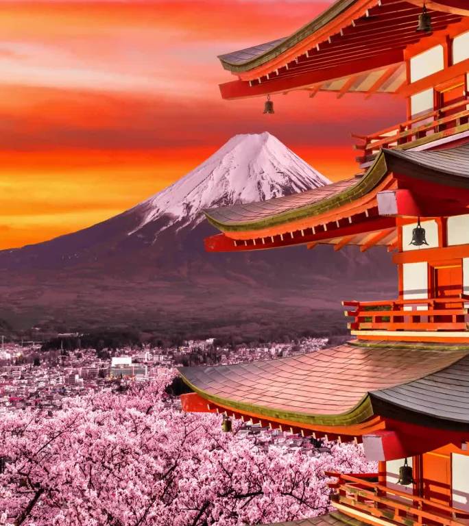 富士山樱花美景