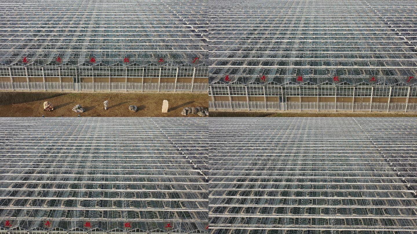 4K原素材-航拍上海花卉超级工厂