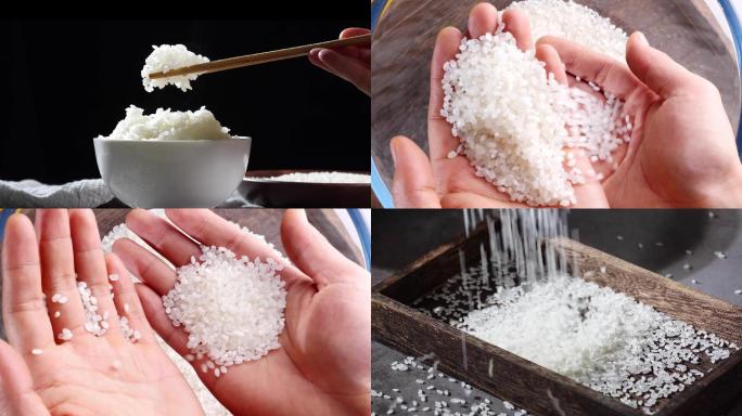 大米升格慢镜头水稻米米饭