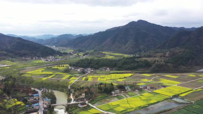 4K航拍农村通村公路和油菜花田