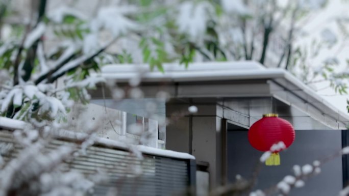 春节年味中国节过年