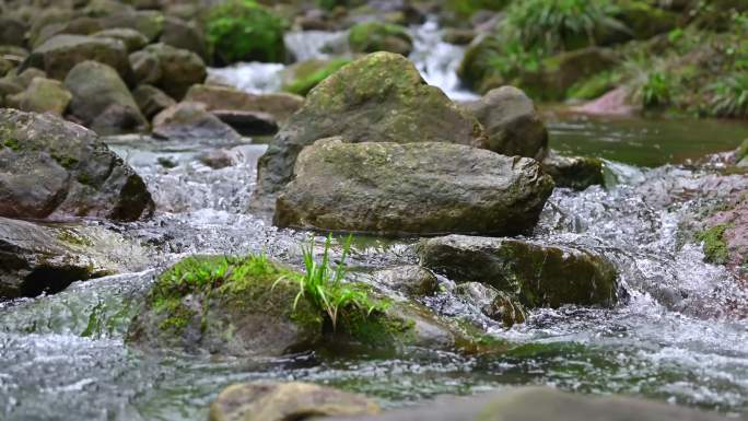 清澈溪水潺潺流淌长满青苔的小溪