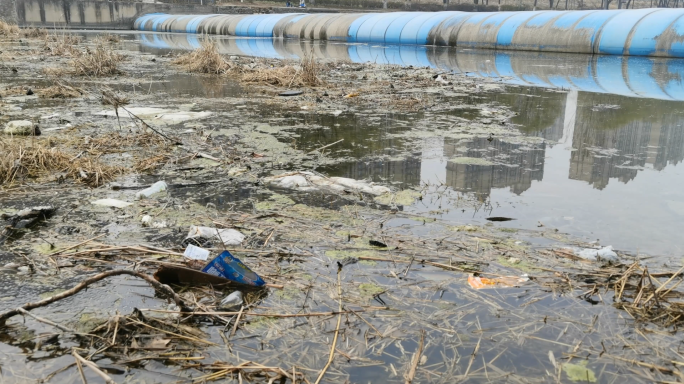 河道污染污水环境破坏垃圾
