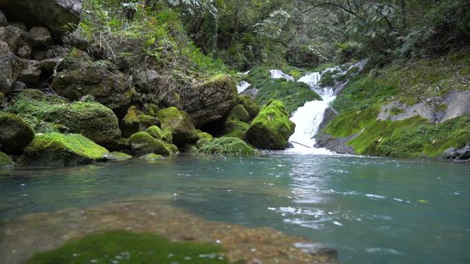 五峰百溪河风光（水和原始森林风景）