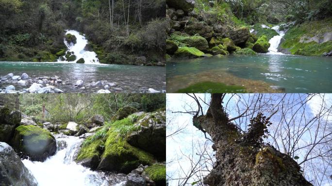 五峰百溪河风光（水和原始森林风景）