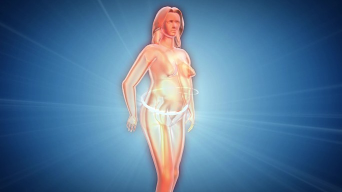 流光模拟女人体快速瘦身减肥腰、腹、腿