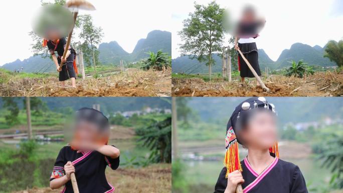 实拍农村瑶族少女在地里作农活挖地
