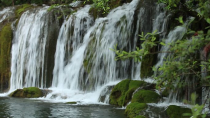 四川九寨沟山水植被