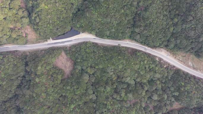 临沧凤庆原始森林公路