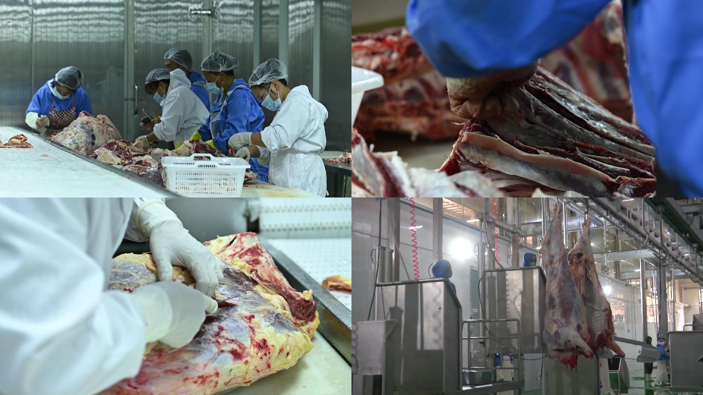 肉类加工厂牛肉屠宰分割全过程