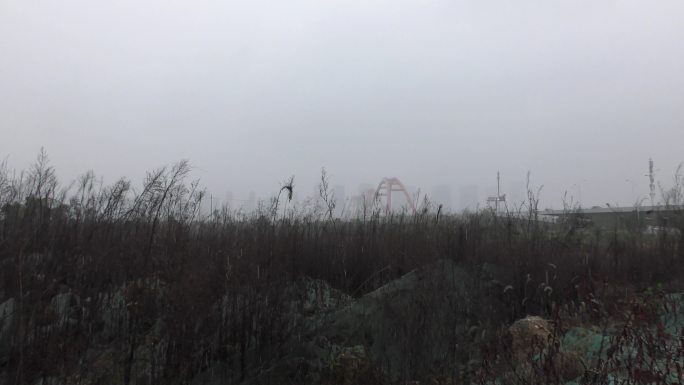 4K压抑阴雨天枯草丛