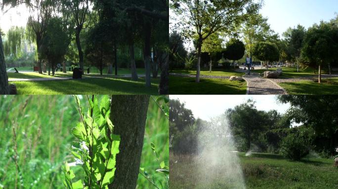 早晨公园树林阳光意境绿色城市夏天光影锻炼