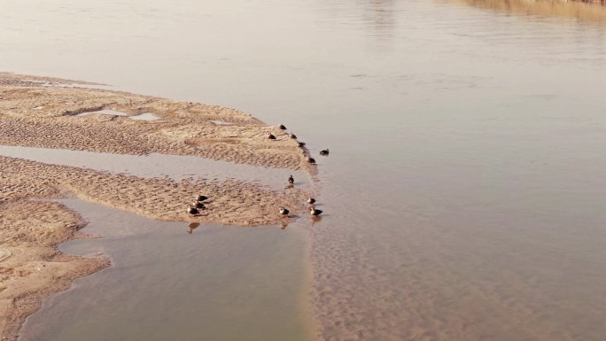 渭河湿地航拍
