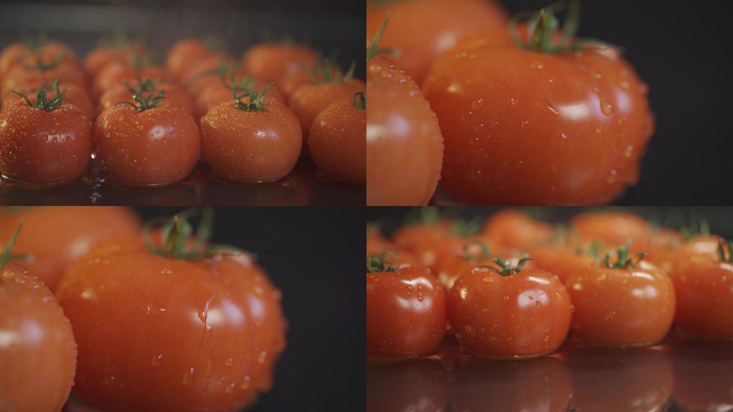升格西红柿番茄西红柿柿入水水中西红柿