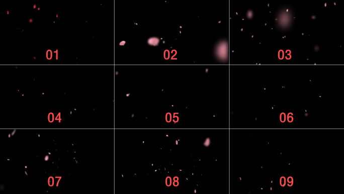 九款花瓣飞舞合集