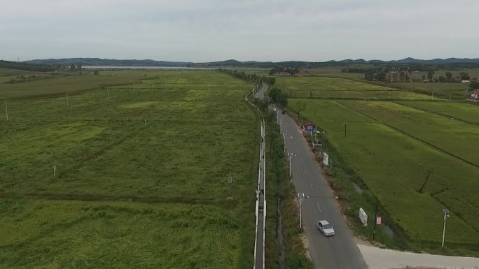 农田公路航拍乡间小路航拍田间公路航拍