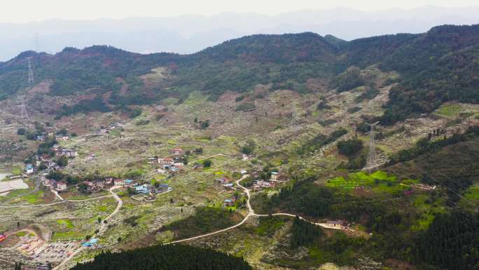 重庆江北村保合李花生态园航拍素材