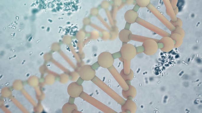 DNA基因医疗生物科技干细胞