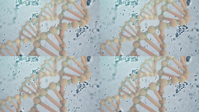 DNA基因医疗生物科技干细胞