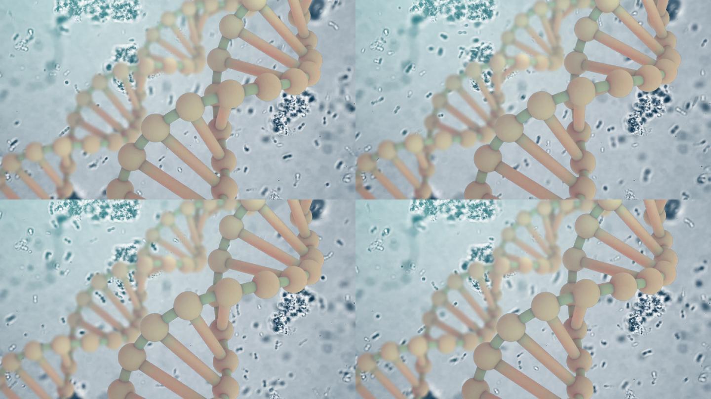 DNA基因医疗生物科技干细胞