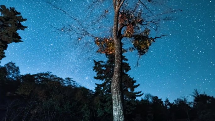 高清星空银河滑轨延时摄影