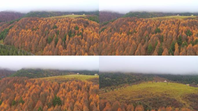 秋天层林尽染的大山航拍