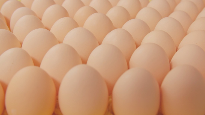 4K鸡蛋土鸡蛋打鸡蛋蛋黄蛋清高清素材