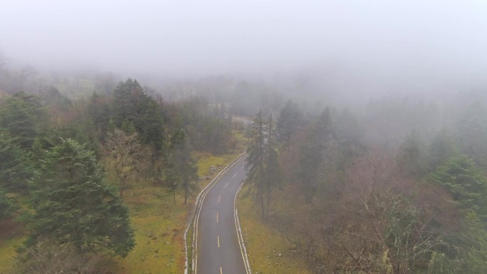 浓雾笼罩的山里公路航拍