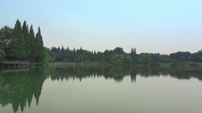 湖面的树林倒影