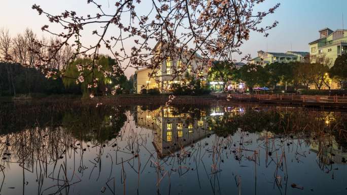 湖畔花朵灯光夜景