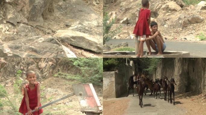 印度小山村采风：压水的兄妹和羊群